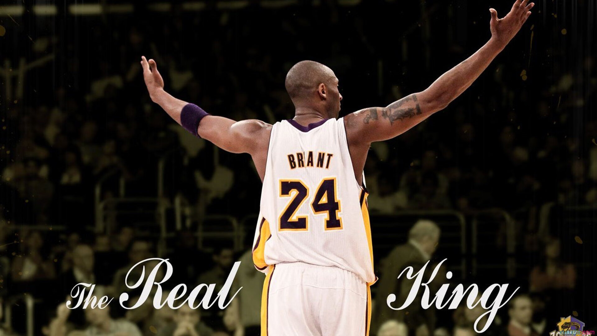 开云APP-全国青少年“篮动未来”科普讲座在广州火热开展，问动青少年篮球培训