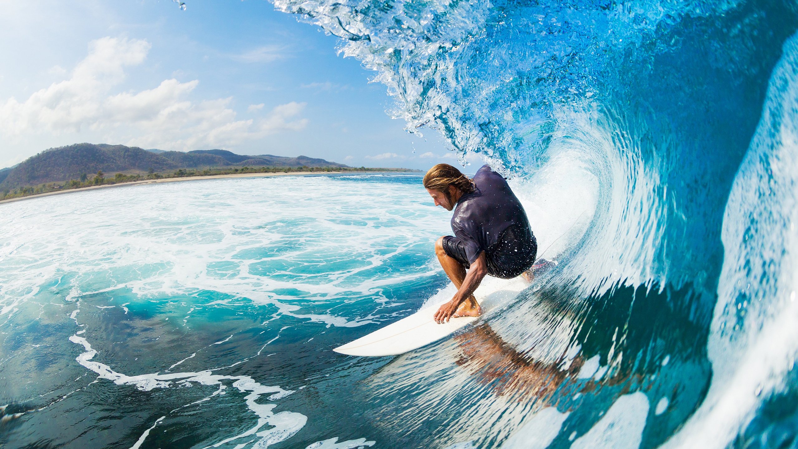 持续领先的车队演变分析，车队顺序